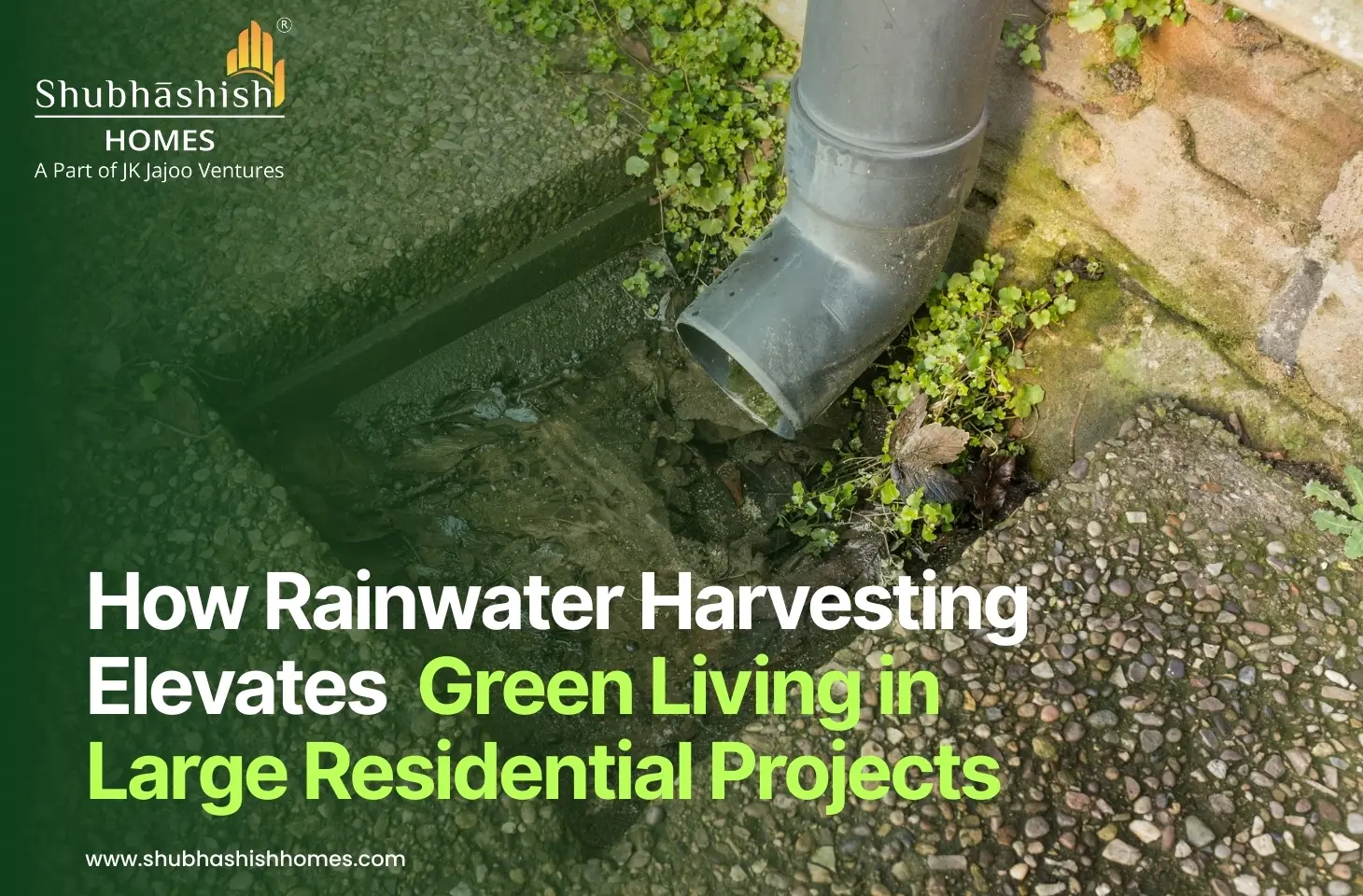 How Rainwater Harvesting Elevates Green Living in Large Residential Projects
