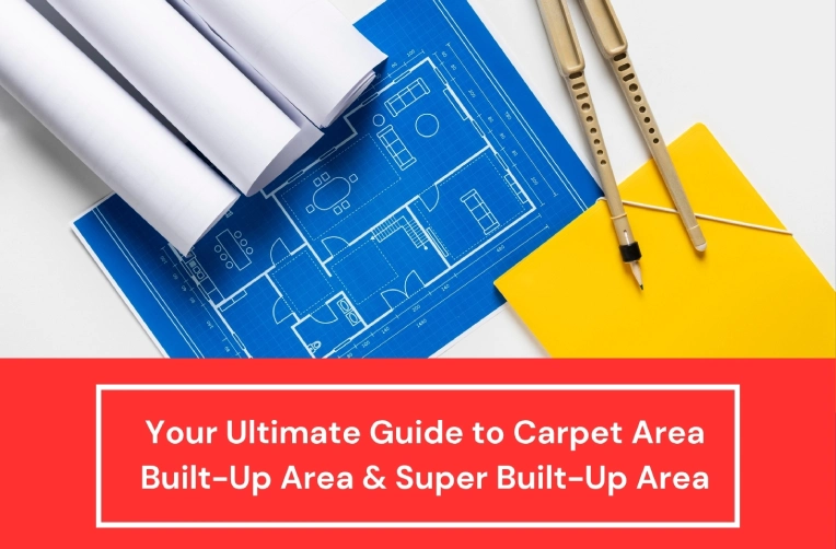 Your Ultimate Guide to Carpet Area Built-Up Area & Super Built-Up Area